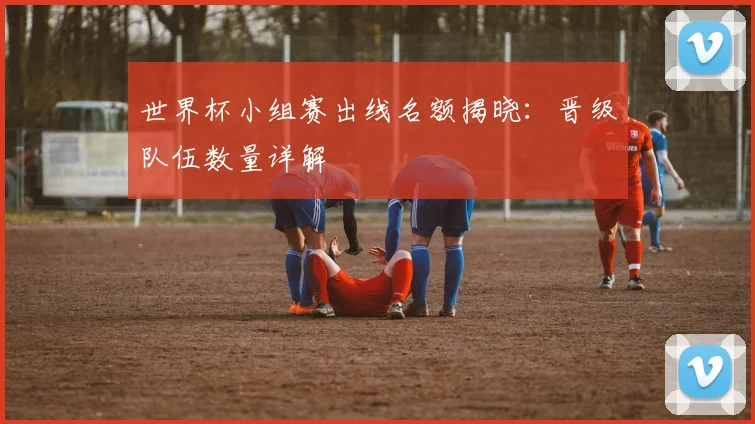 世界杯小组赛出线名额揭晓：晋级队伍数量详解