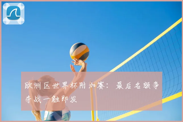 欧洲区世界杯附加赛：最后名额争夺战一触即发