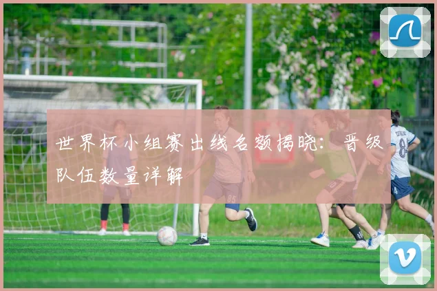 世界杯小组赛出线名额揭晓：晋级队伍数量详解