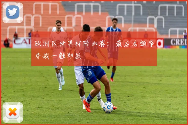 欧洲区世界杯附加赛：最后名额争夺战一触即发