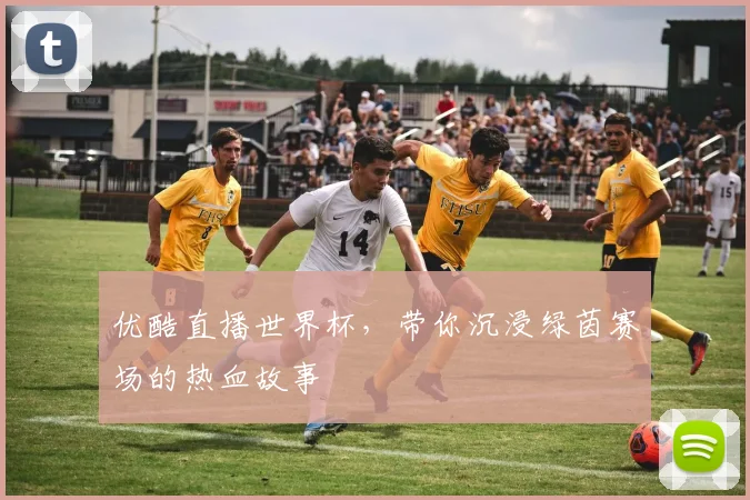 优酷直播世界杯，带你沉浸绿茵赛场的热血故事