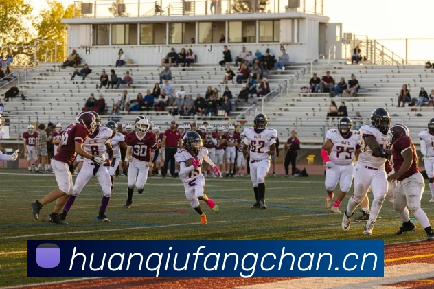 App Interface Preview